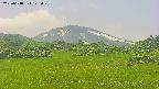 area3-20250618125049.jpg