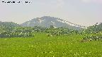 area3-20250618134049.jpg