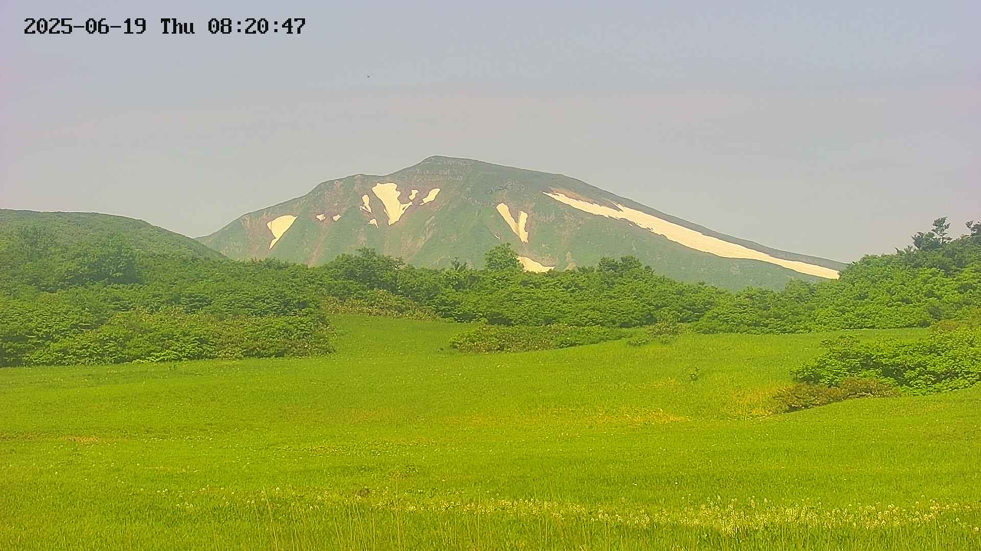 area3-20250619082048.jpg