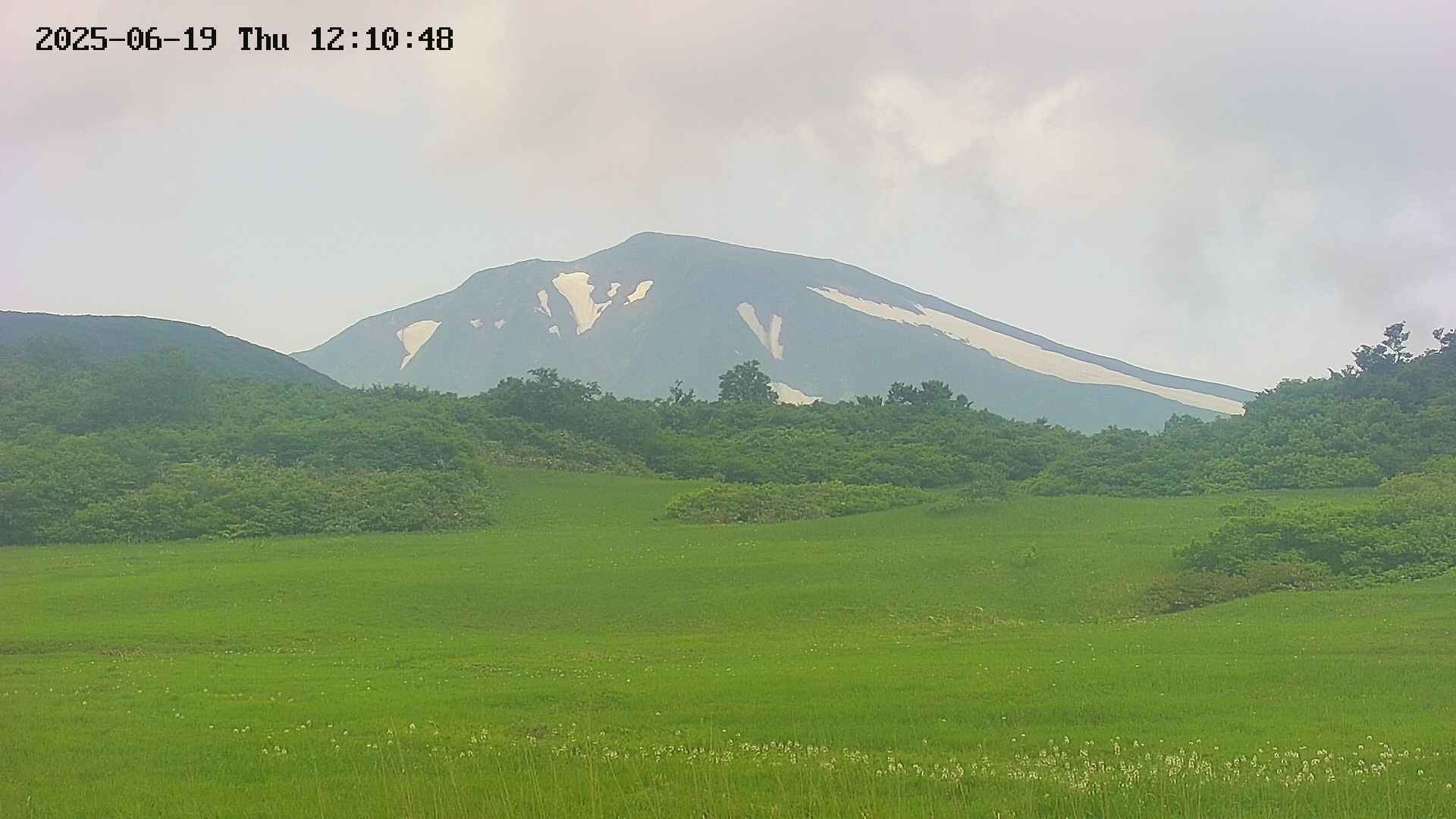 area3-20250619121048.jpg