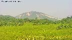 area3-20250620054049.jpg