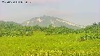 area3-20250620055051.jpg