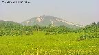 area3-20250620060048.jpg