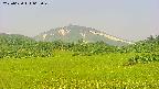 area3-20250620062050.jpg