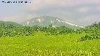 area3-20250620064051.jpg