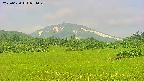 area3-20250620071050.jpg