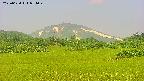 area3-20250620074049.jpg