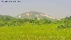 area3-20250620080050.jpg