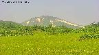 area3-20250620081048.jpg