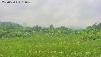 area3-20250620111048.jpg