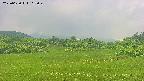 area3-20250620112050.jpg