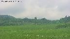 area3-20250620113051.jpg
