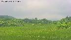 area3-20250620114049.jpg
