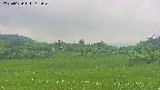 area3-20250620115047.jpg