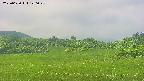 area3-20250620120049.jpg