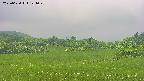 area3-20250620121050.jpg
