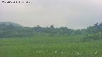 area3-20250620122049.jpg