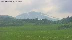 area3-20250620142048.jpg