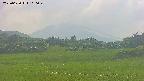 area3-20250620160050.jpg