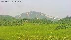 area3-20250621052049.jpg
