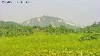 area3-20250621055049.jpg