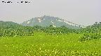 area3-20250621064049.jpg