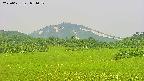 area3-20250621071050.jpg