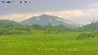 area3-20250622050053.jpg