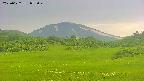 area3-20250622052049.jpg