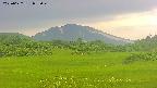 area3-20250622053047.jpg