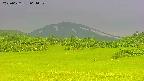 area3-20250622064050.jpg
