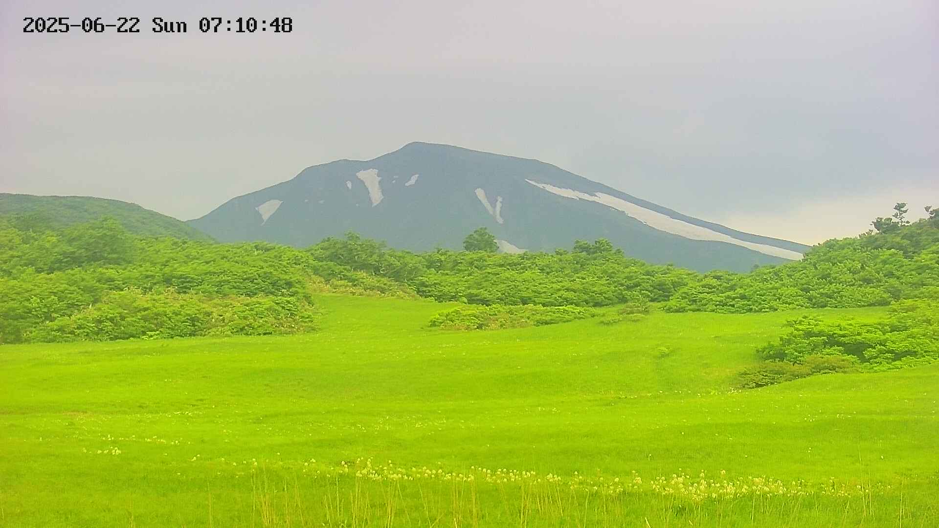 area3-20250622071049.jpg