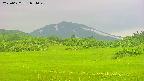 area3-20250622071049.jpg