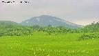 area3-20250622080049.jpg