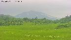 area3-20250622100052.jpg