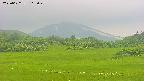 area3-20250622105050.jpg