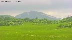 area3-20250622111050.jpg