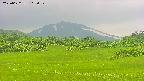 area3-20250622112052.jpg