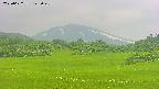 area3-20250622123049.jpg