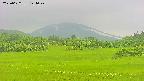 area3-20250622124047.jpg