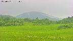 area3-20250622132047.jpg