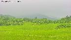 area3-20250622134050.jpg