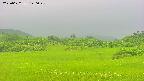area3-20250622140047.jpg