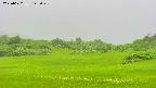 area3-20250622142047.jpg