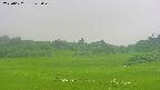 area3-20250622143048.jpg