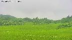 area3-20250622154050.jpg