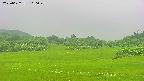 area3-20250622160050.jpg