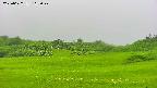 area3-20250622163047.jpg
