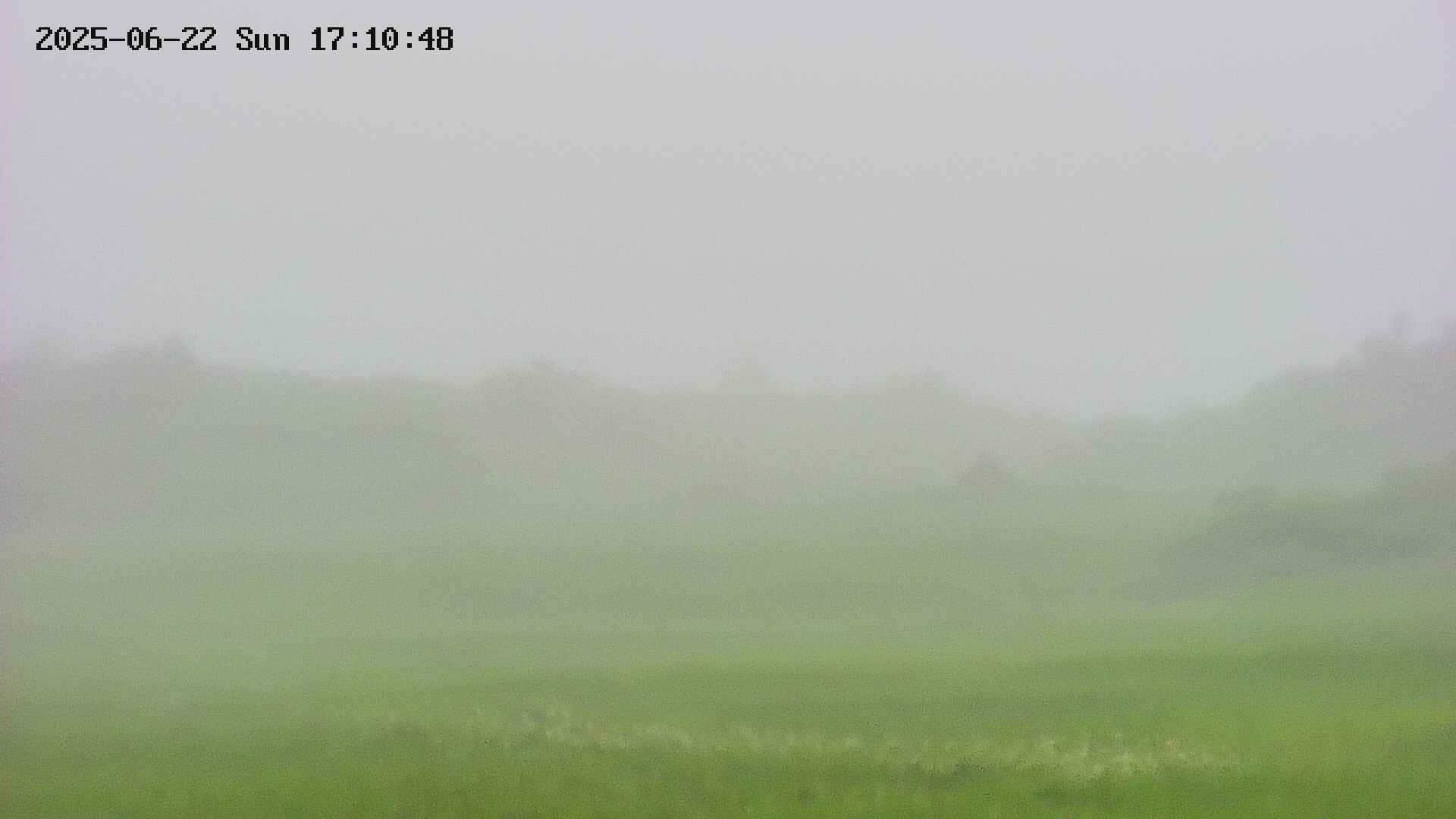 area3-20250622171048.jpg