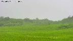 area3-20250622174049.jpg